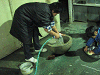 sinnen (286)_samu.gif